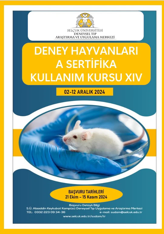 Kurs Afiş